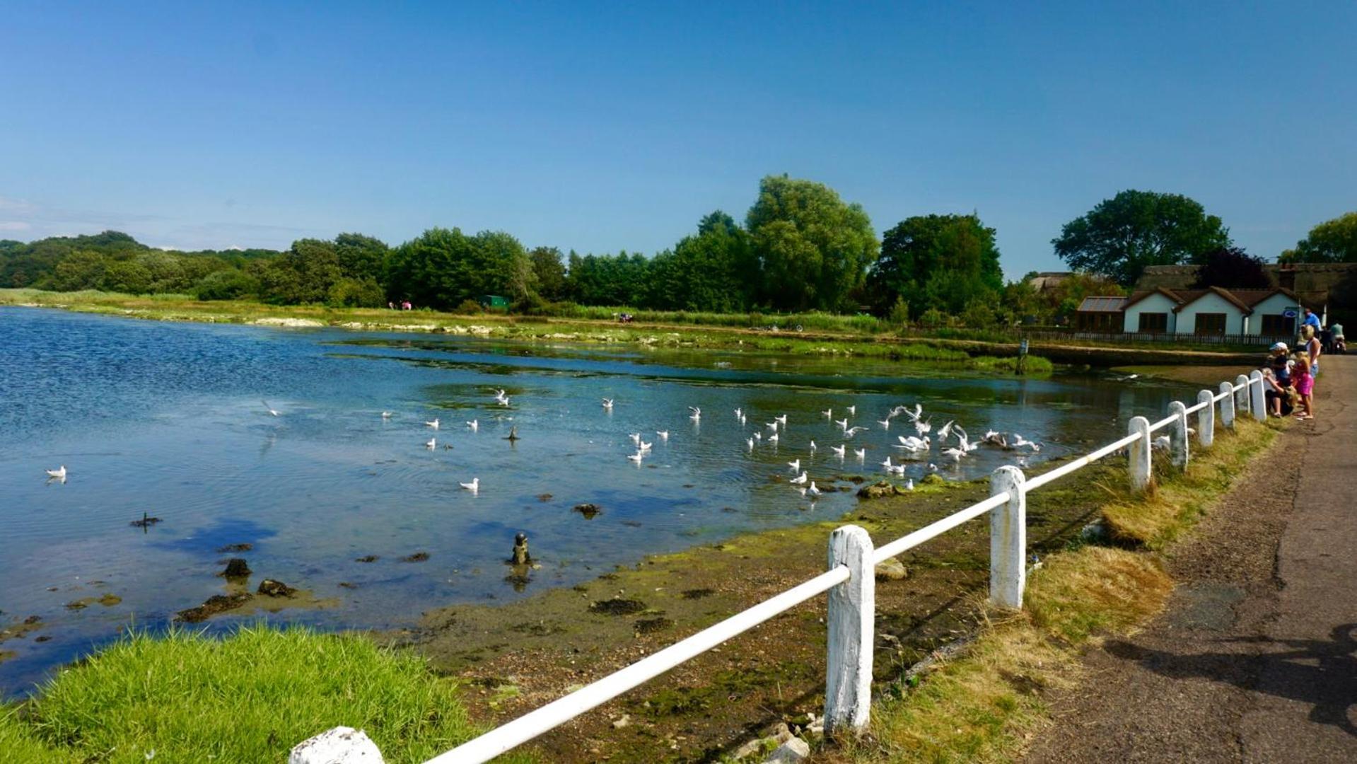 Valley View Self-Catering Coastal Bungalow In Rural West Wight Freshwater Εξωτερικό φωτογραφία